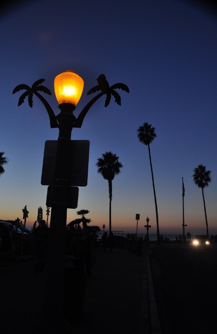 Ocean Beach streetlight